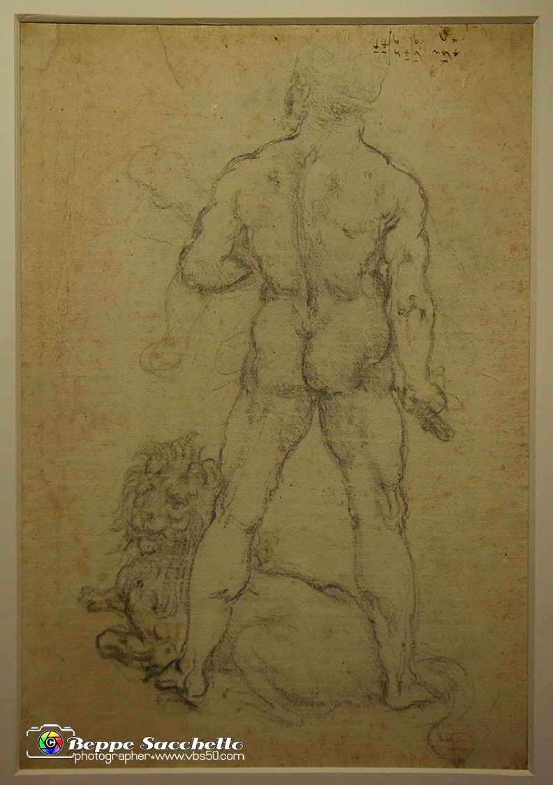 VBS_9759 - Mostra A tu per tu con Leonardo.jpg